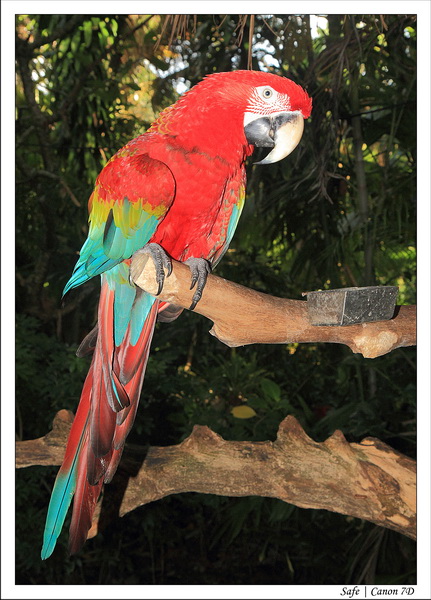 2012 - 07 - Siquijor - 88